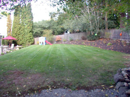 Lower level fireplace